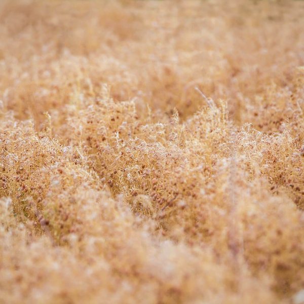 292_R4A4207Ph © Giorgio_Salvatori