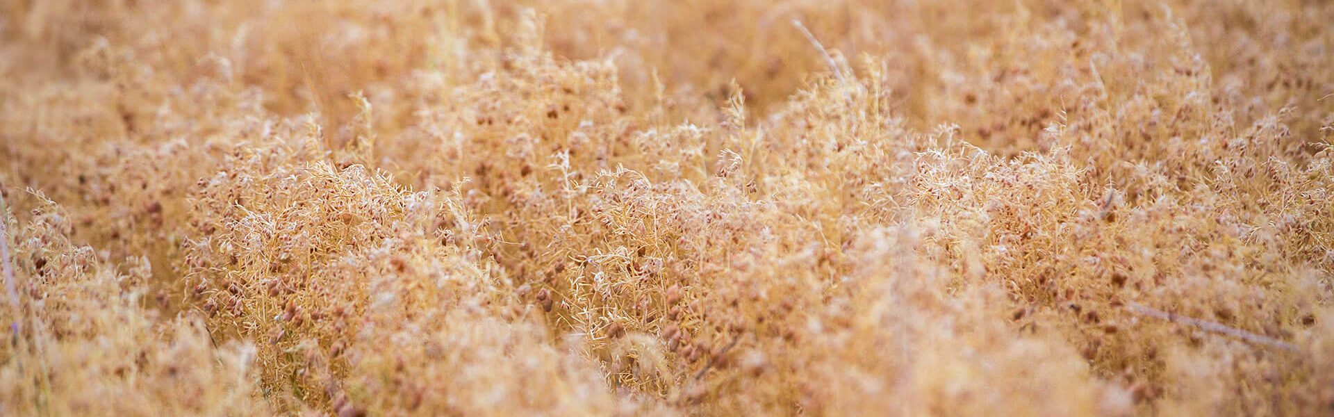 292_R4A4207Ph © Giorgio_Salvatori