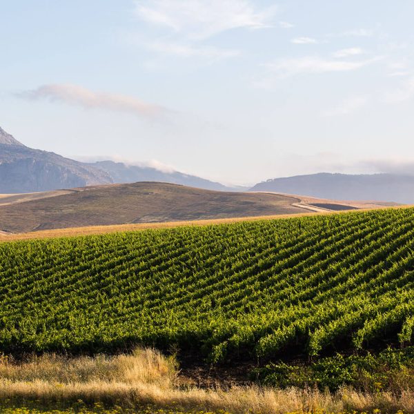 447_R4A4558Ph © Giorgio_Salvatori