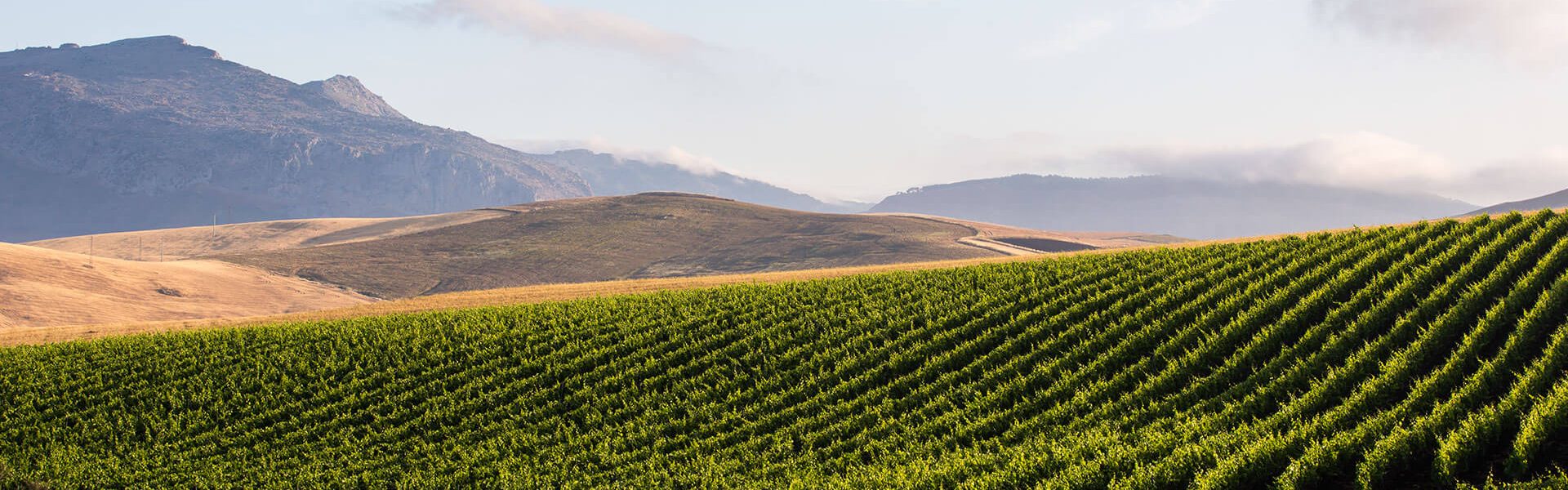 447_R4A4558Ph © Giorgio_Salvatori