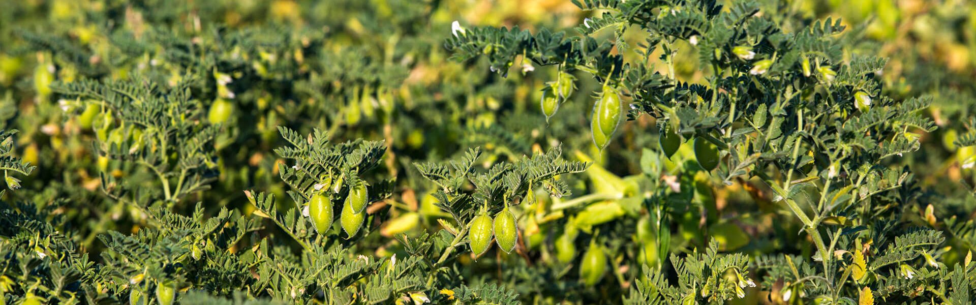 481_R4A4398_16Ph © Giorgio_Salvatori