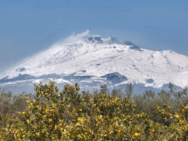 Arance etna Salvatori