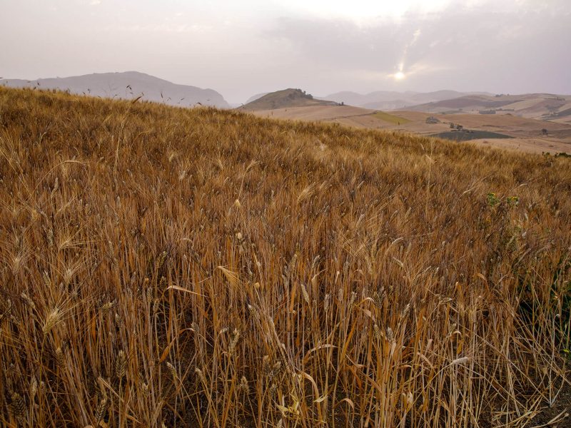 _H3A1838_Ph © Giorgio_Salvatori