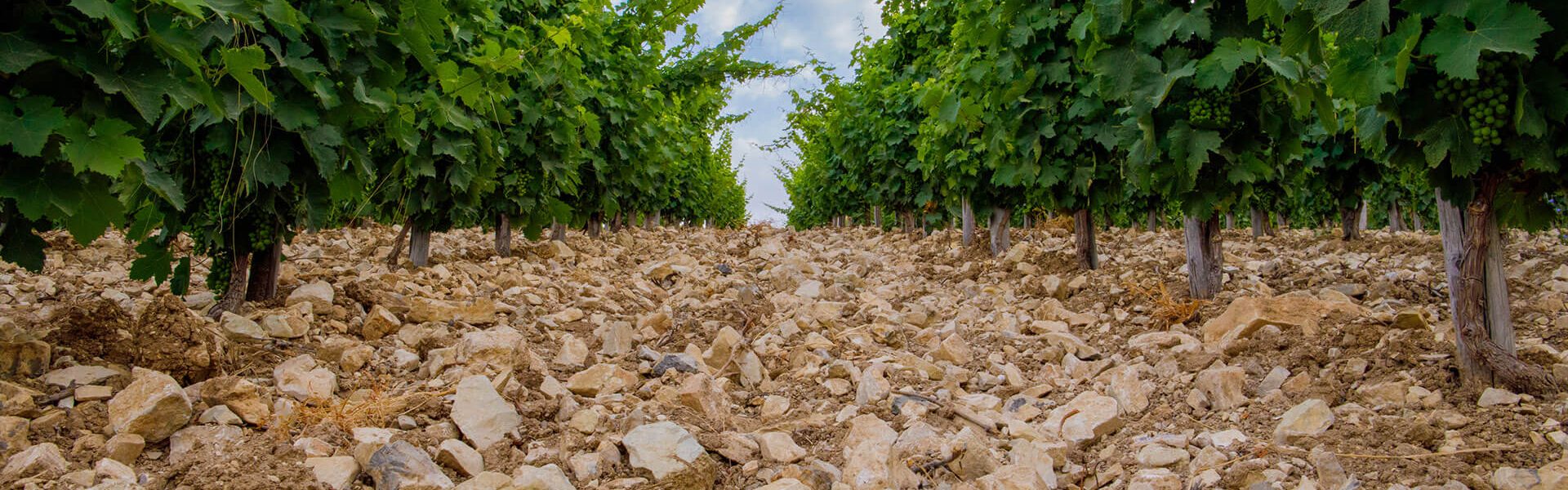 _H3A2527_Ph © Giorgio_Salvatori copia