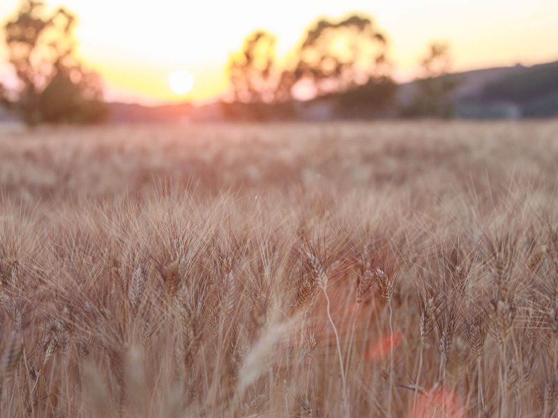 _IO_9423Ph © Giorgio_Salvatori