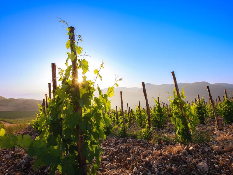 _IO_9734Ph © Giorgio_Salvatori