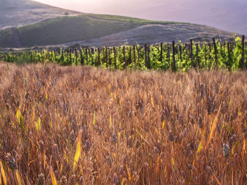 _MG_0194Ph © Giorgio_Salvatori