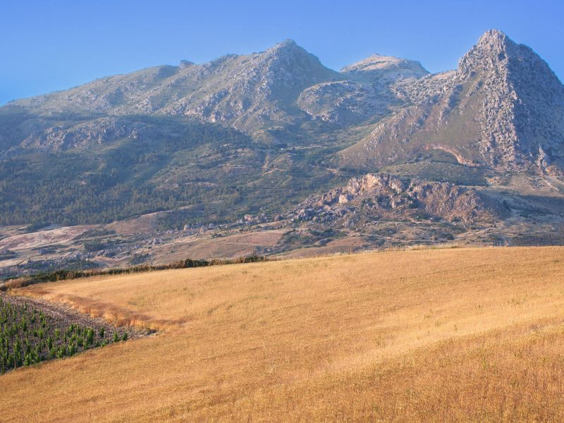 _MG_0197Ph © Giorgio_Salvatori