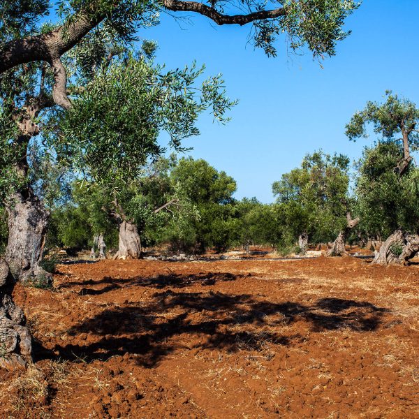 _MG_0270_Ph_©_Giorgio_Salvatori