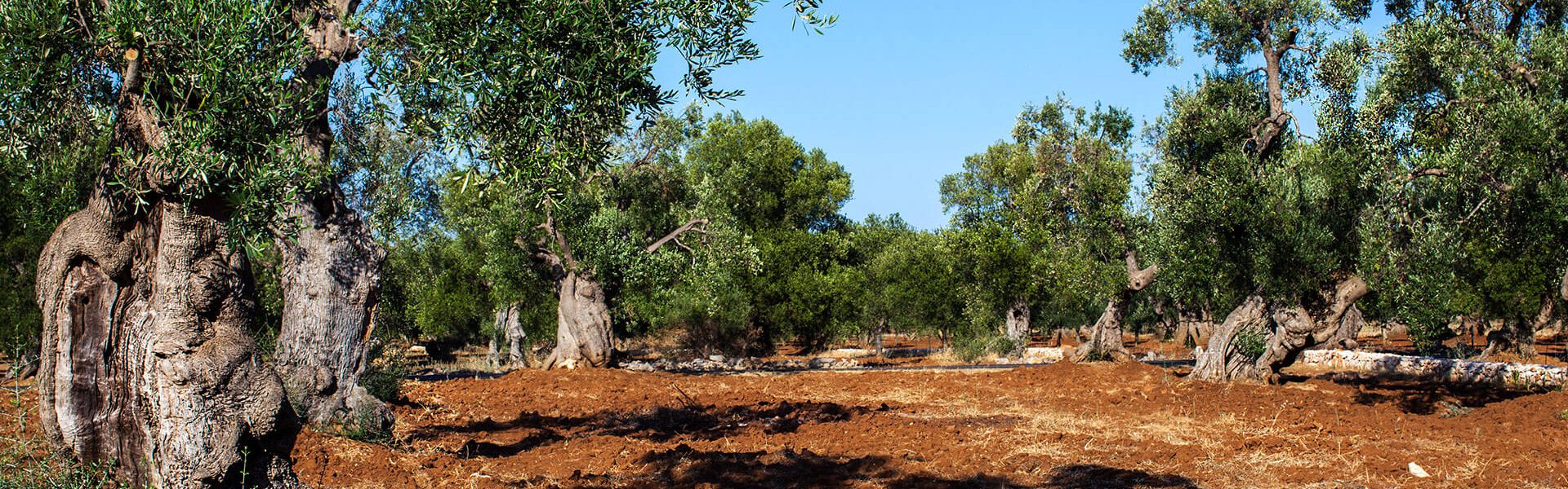 _MG_0270_Ph_©_Giorgio_Salvatori