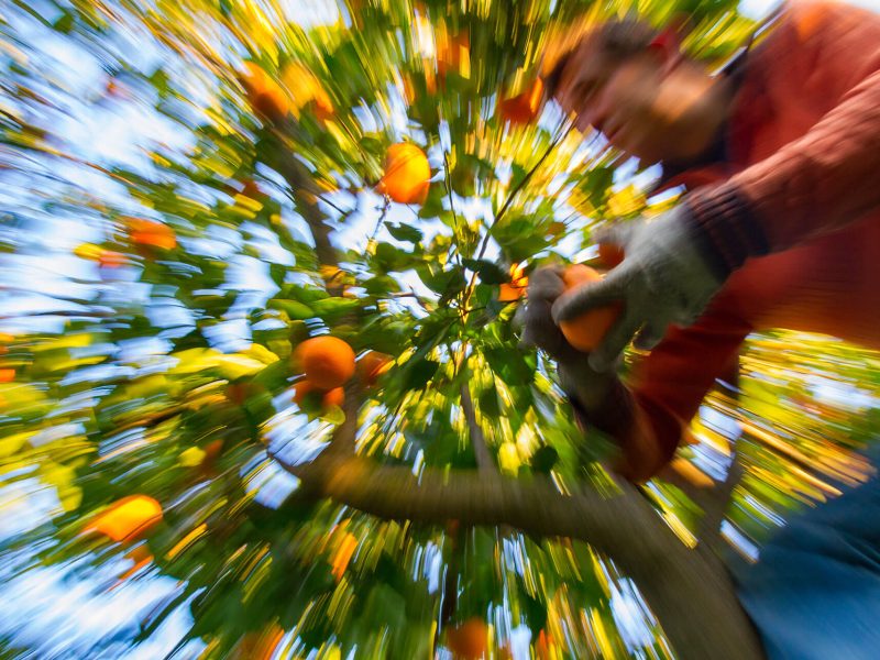 _MG_2028_Ph_©_Giorgio_Salvatori