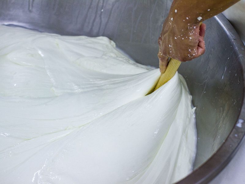 _MG_9395_Ph_©_Giorgio_Salvatori