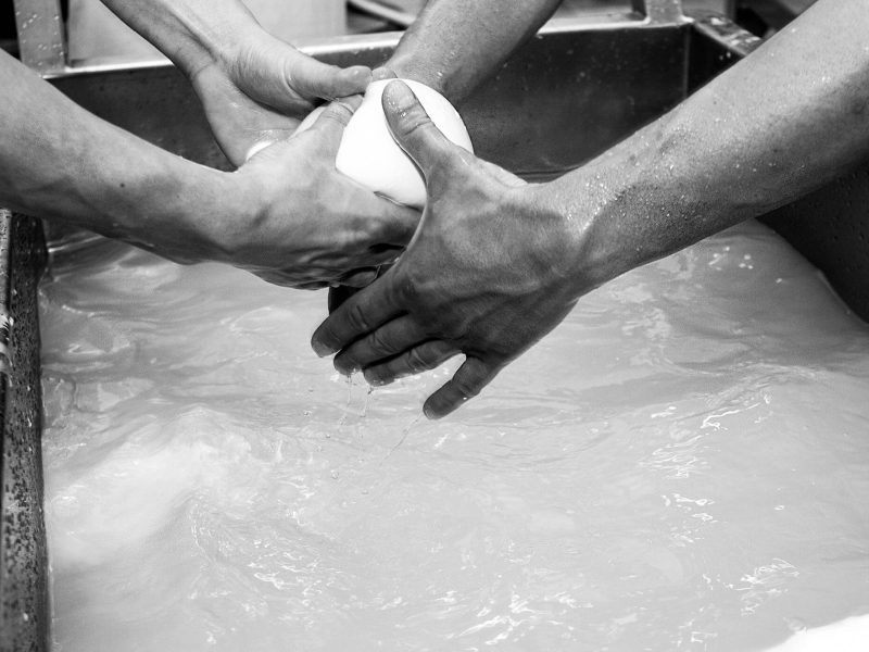 _MG_9463_Ph_©_Giorgio_Salvatori