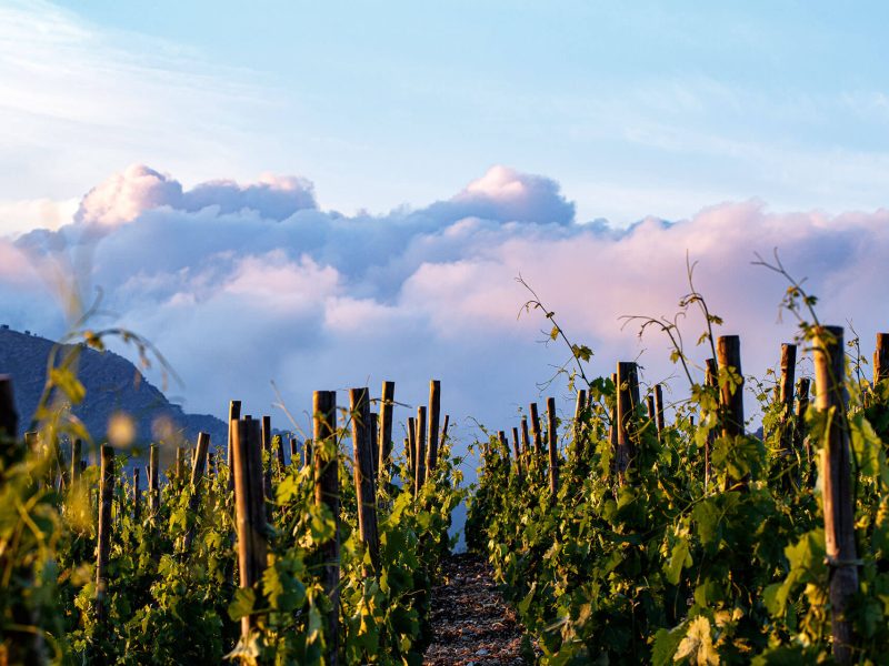 _V3R4226Ph © Giorgio_Salvatori